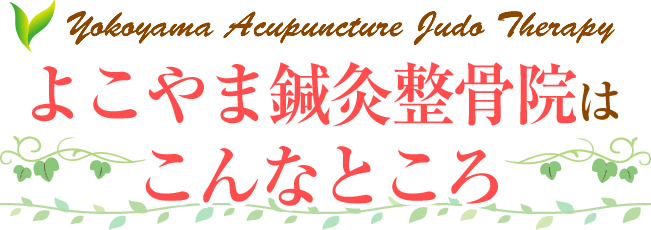 よこやま鍼灸整骨院はこんなところ